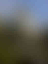 Lugares que ver en Osaka - Castillo de Osaka