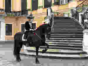 Caballos en Palacio Schonbrunn