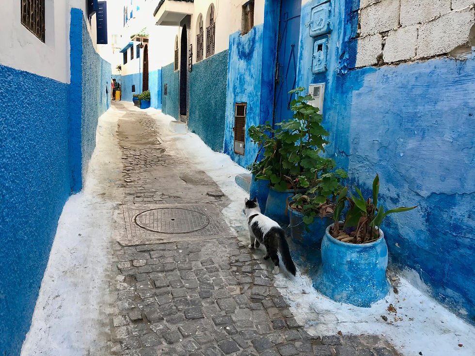 Kasbah des Oudaias