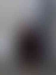 Lugares que ver en el Vaticano - Guardia Suiza