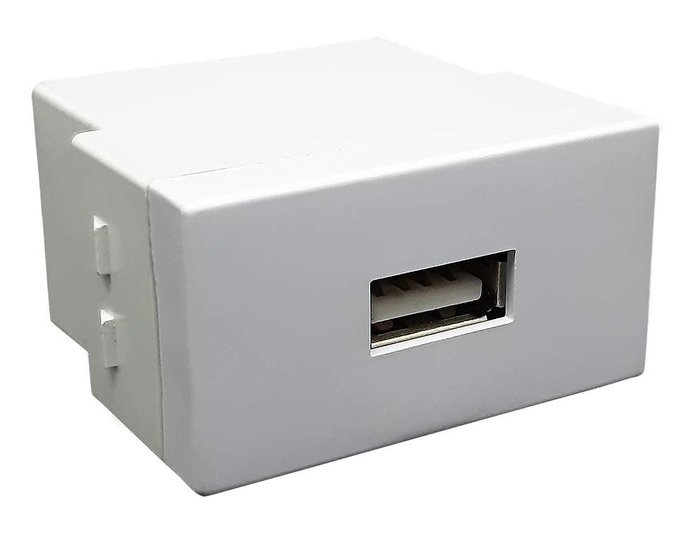 Módulo Carregador USB 2A,branco