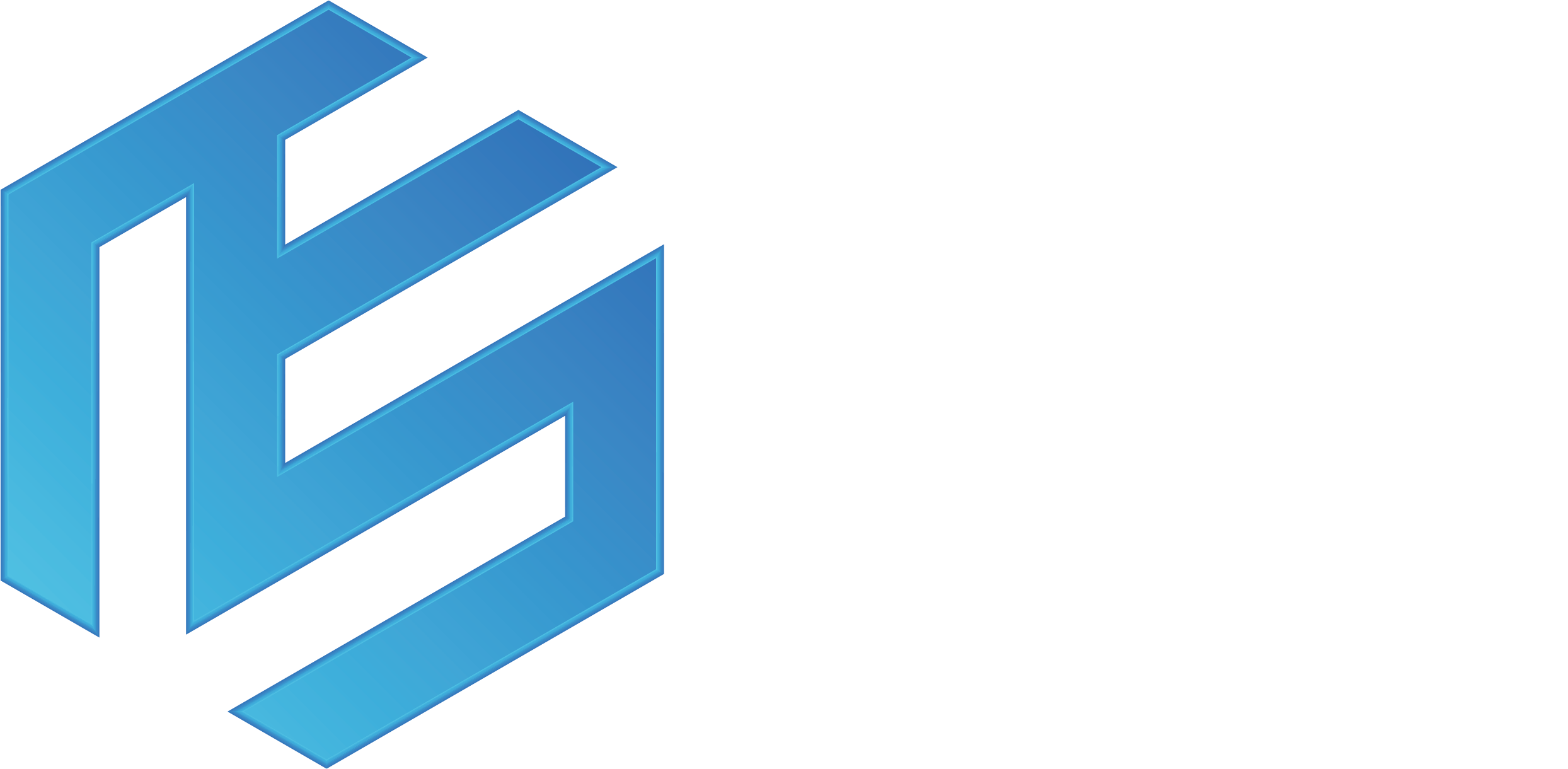 (주)디스_global 확정_3_1.png