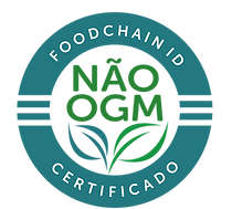 Sem título-4_Prancheta 1.png