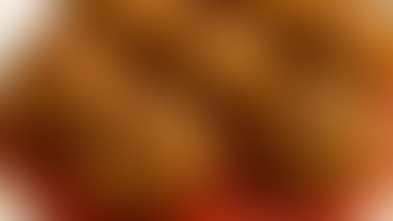 Almôndegas de Soja Texturizada Clara