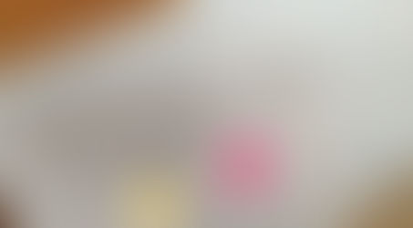 置きてがみ