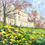 Thumbnail: Daffodils at Kenwood House /Collectors' Series