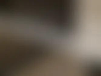 How We Manage Property During a Florida Storm