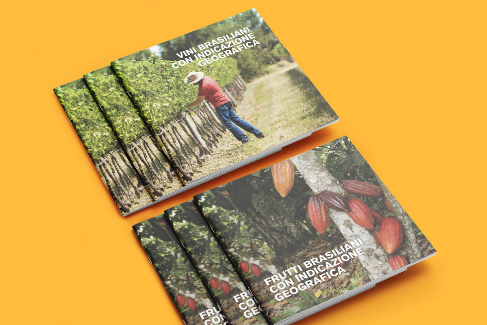 Brochure su vini e frutti brasiliani