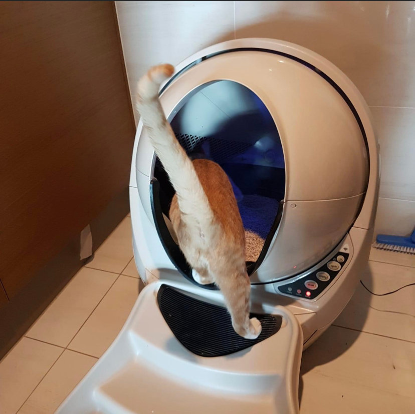 litter robot filter replacement