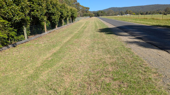 Mown roadside verge near trees