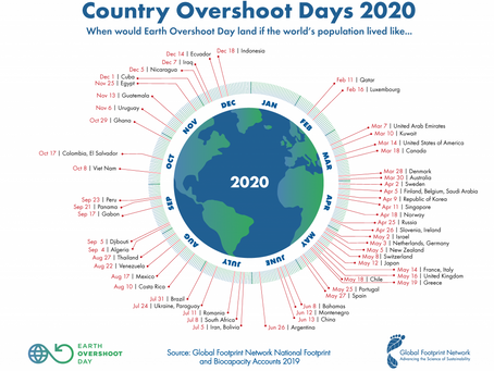 Mais do que a Terra pode nos dar | Earth Overshoot Day