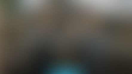 Mission US: Up from the Dust