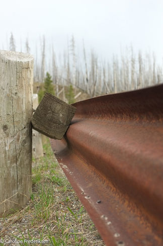 C.FREDERIKSEN-Rail.jpg