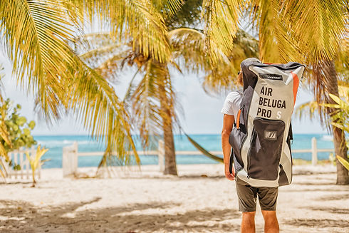 Air beluga backpack.jpeg