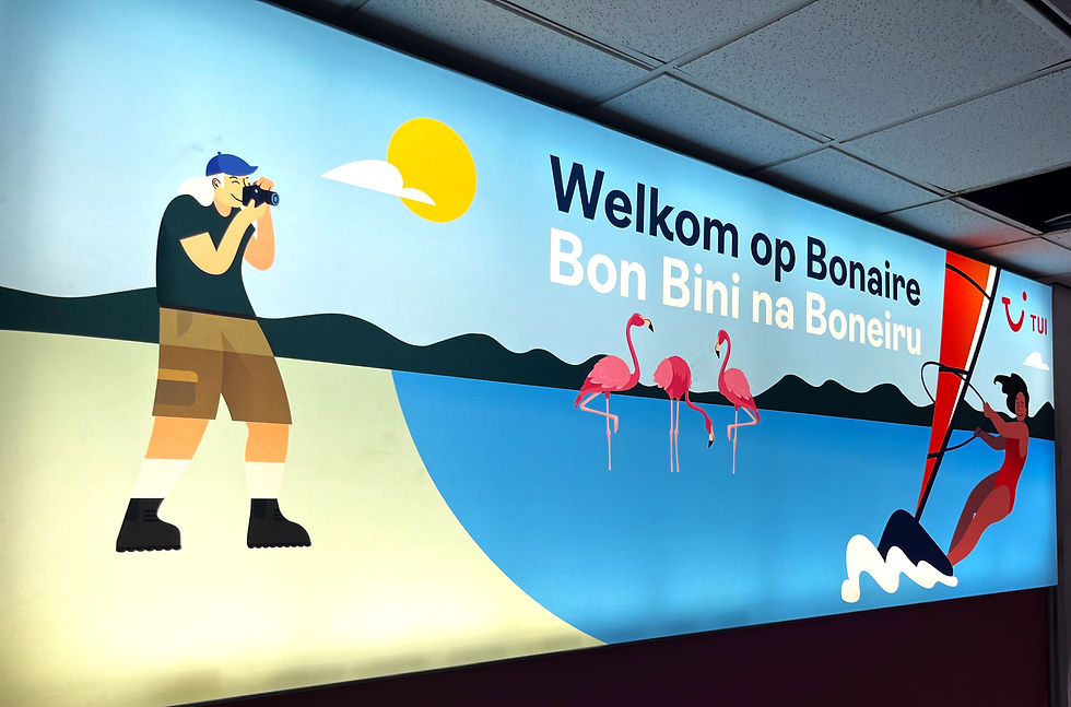 Op wingfoil reis naar bonaire met Wingxperience