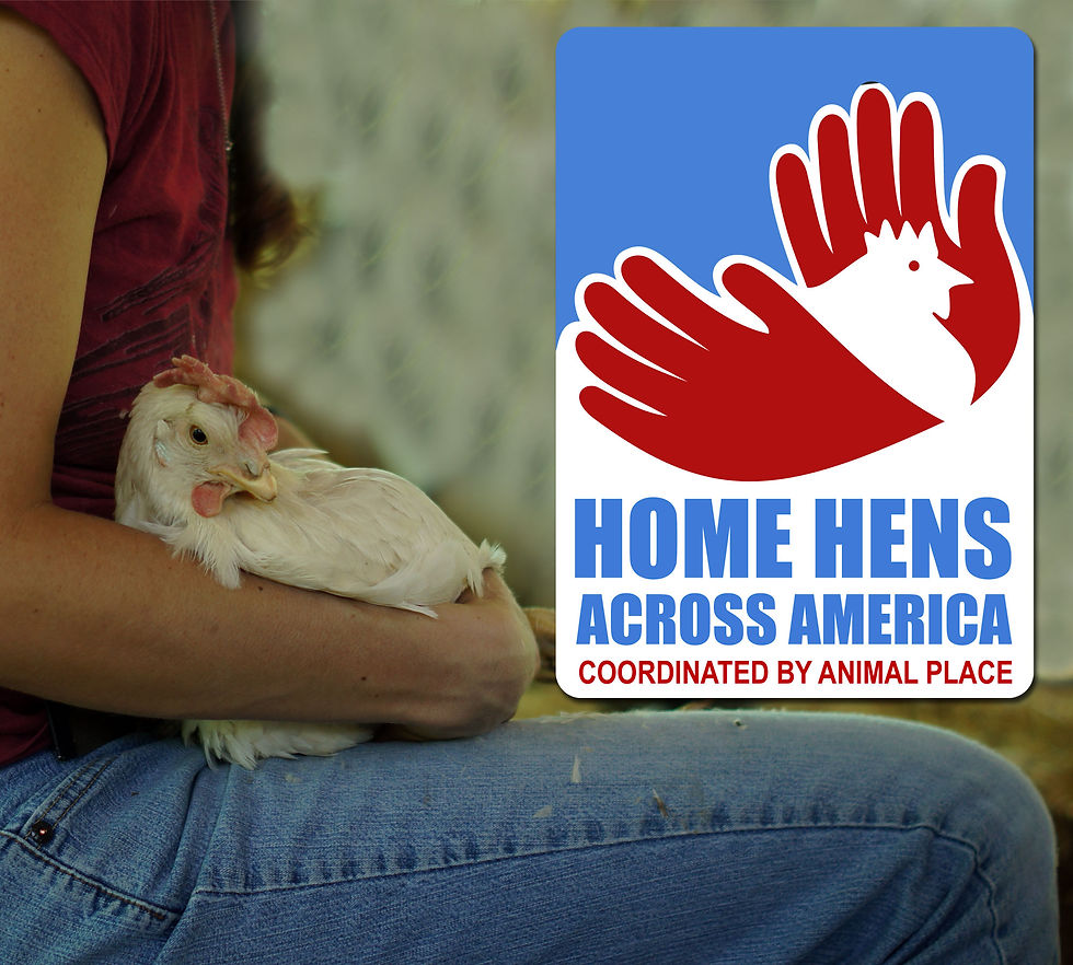 ANIMAL PLACE - EVENT LOGO