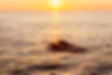 Sunrise, Dolphin & Snorkelling Exeperience - Perfect Charter Mallorca_06.jpg