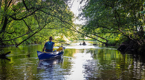 thumbnail_kleine nete-2.jpg