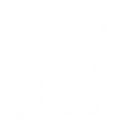 Tod Katze