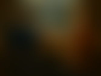 Over a Beer at "The Sink" in Boulder.