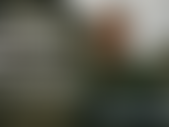 American Veteran in Germany Blog story