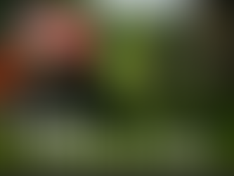 The Day’s Campaign Report