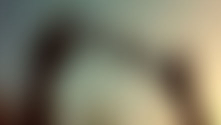 Preguntas sobre como se representa la dignidad humana en La metamorfosis de Kafka