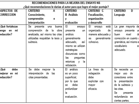 CUADRO DE RECOMENDACIONES DEL ENSAYO NS