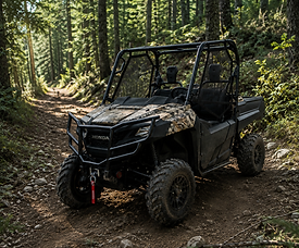 Honda Side by Side in Forest