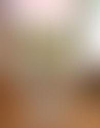 TROPICAL PARADISE "SWIRLY" SHAKEOLOGY