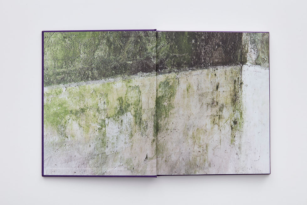 Villa Magdalena | Publications | Mie Yim: Mutants