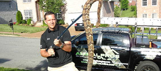 Tampa Snake Removal 24 Hour Snake Help