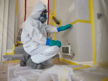 What Impacts the Insurance Cost for a Mold Remediation Contractor?