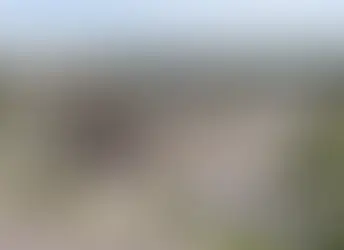 Why Investors Are Pivoting to Small Retail Centers in Growing Suburbs