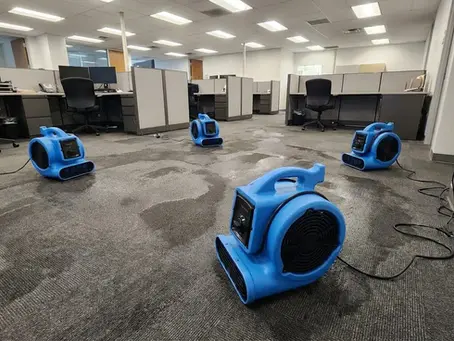 Best Fans for Curing and Ventilation on Flooring Jobs