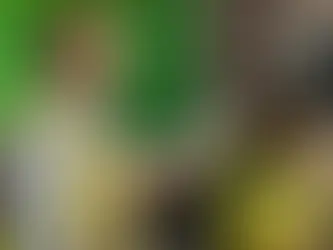 How to Get a City of Chicago Heights Illinois Contractor Bond