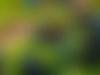 Lawn Sprinkler Installation Tools Contractors Need