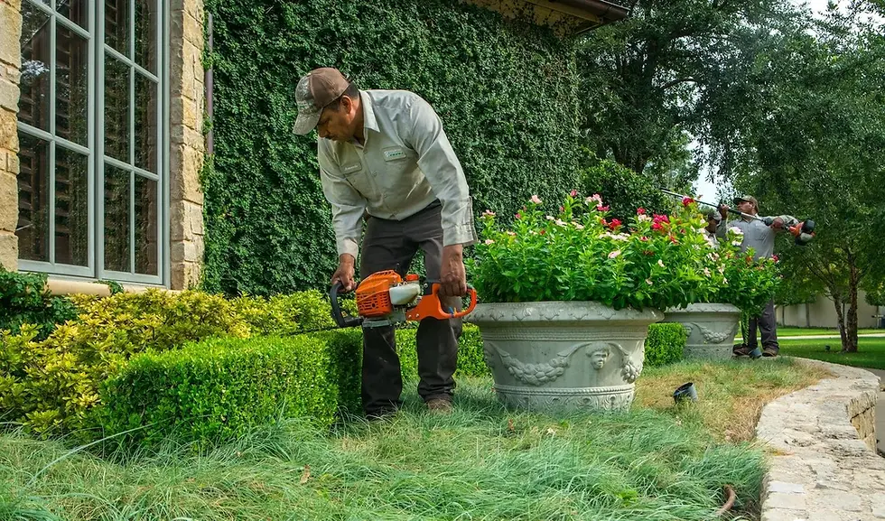 Gas vs Battery Trimmers for Landscaping Contractors