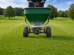Best Granule Spreaders for Pest Control Businesses