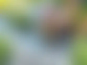 Best Drip Irrigation Equipment for Landscapers