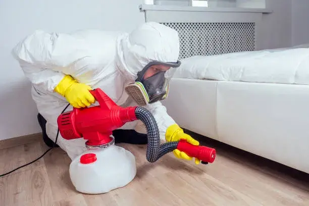 Best Bed Bug Sprayers & Applicators for Contractors