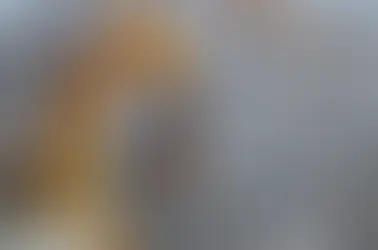 Aluminum Can Scrap Market Trends 2026