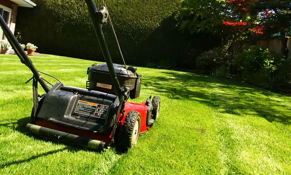 How Much Does Lawn Care Business Insurance Cost in Florida?
