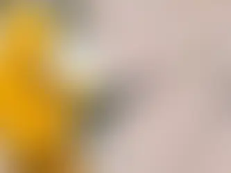 Residential vs Commercial Pressure Washing Equipment Explained