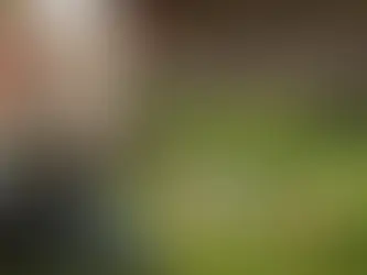 Best Blade & Line Accessories for Trimmers