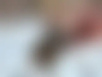 Best Angled Brushes for Cutting In Like a Pro