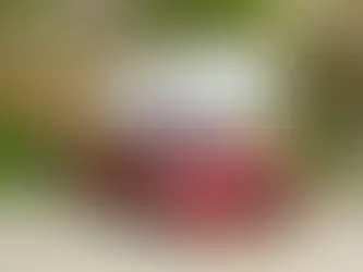 Top Auto Insurance Questions Noblesville Drivers Ask Before a Quote