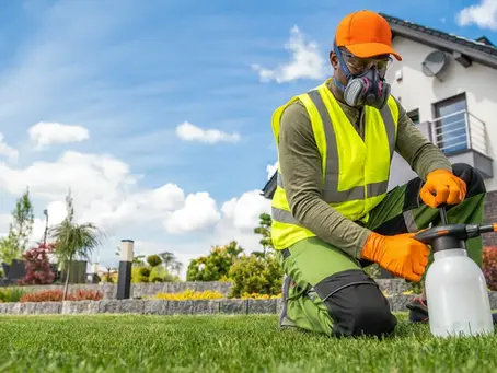 Best Safety Gear for Landscaping Contractors