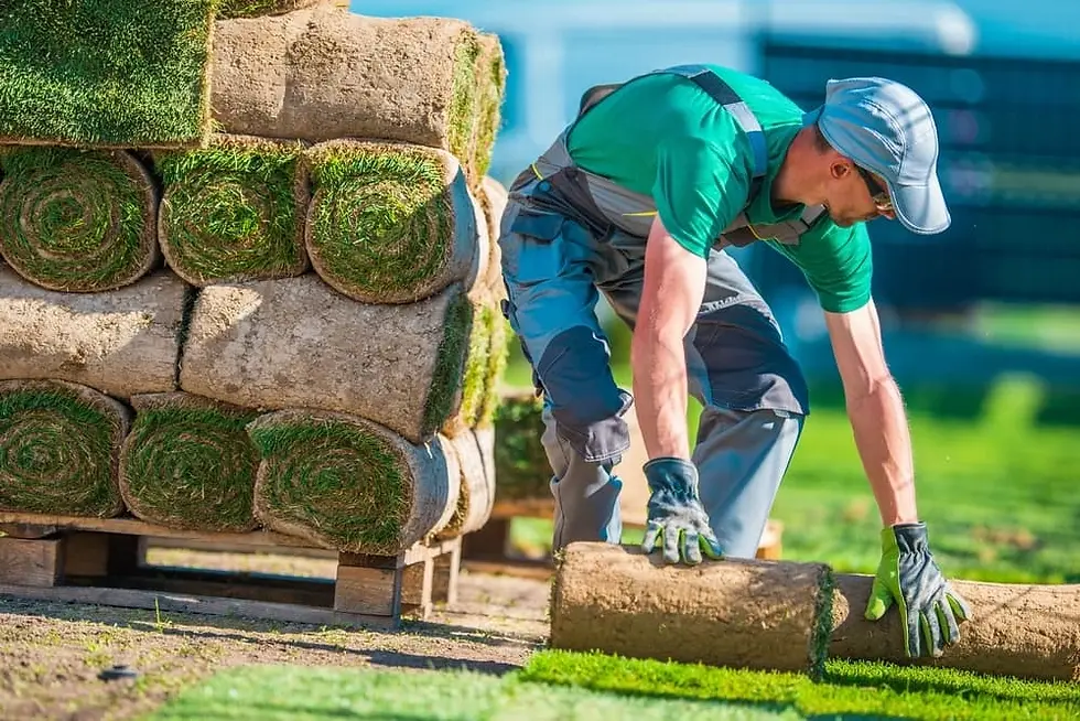 How Much Does Landscaping Contractor Insurance Cost in Illinois?
