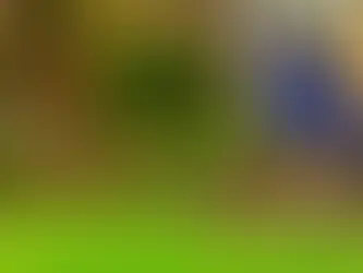 How to Get an Illinois State Irrigation/Lawn Sprinkler Contractor Bond